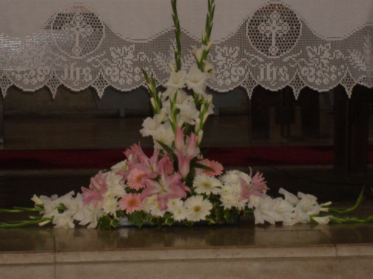 Click para ver em grande!