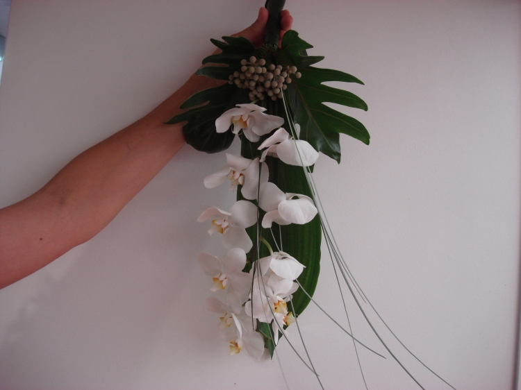 Click para ver em grande!