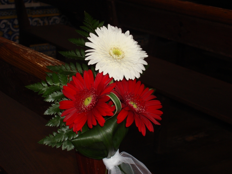 Click para ver em grande!