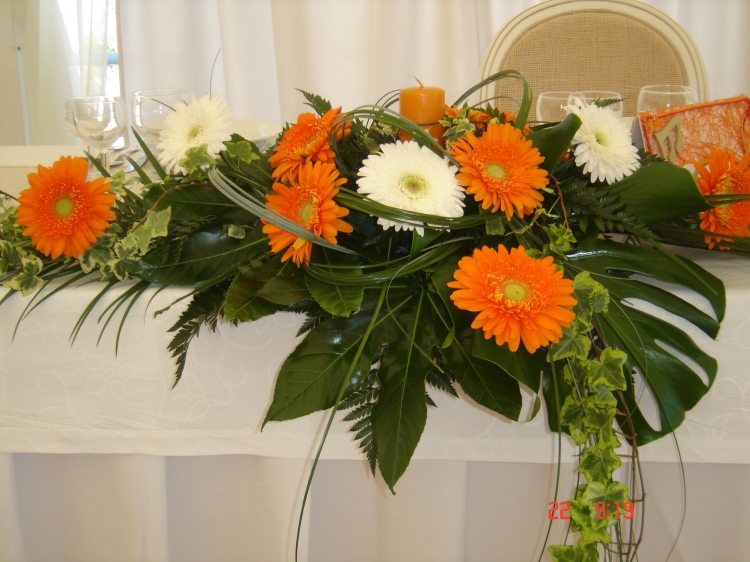 Click para ver em grande!