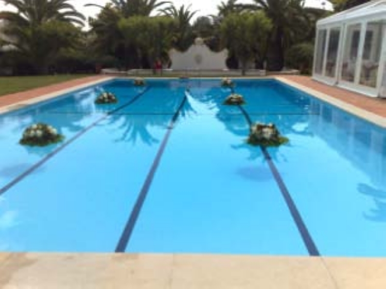 Click para ver em grande!