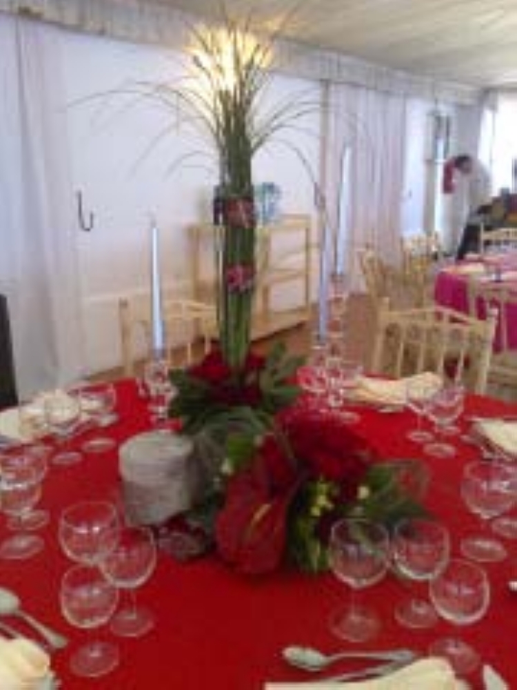 Click para ver em grande!