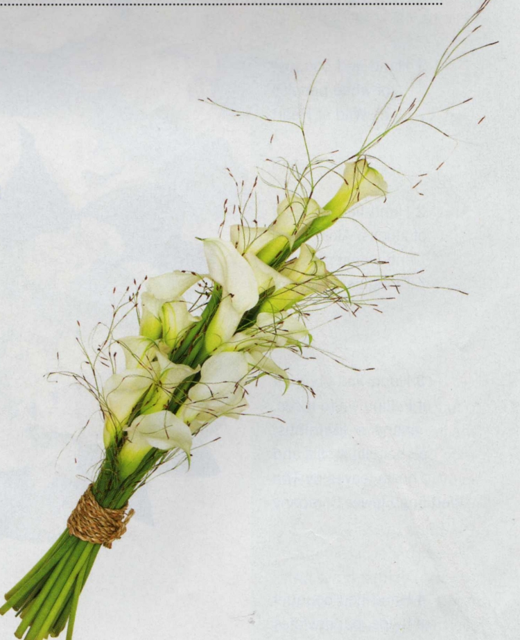 Click para ver em grande!