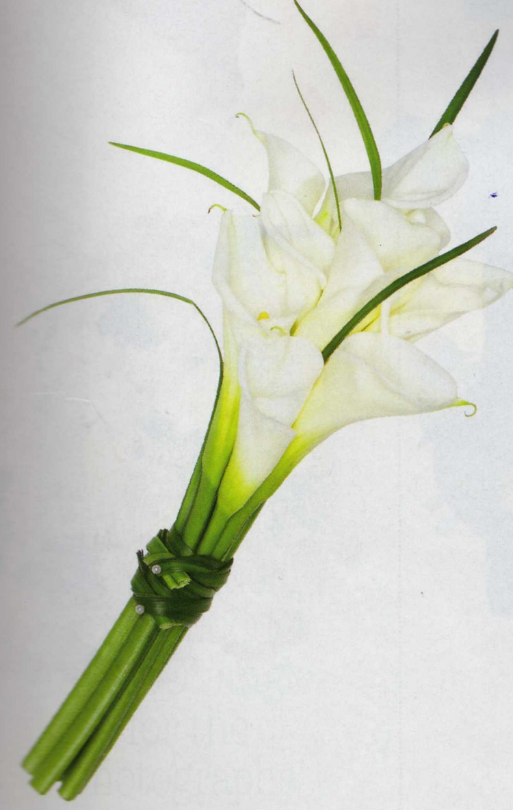 Click para ver em grande!