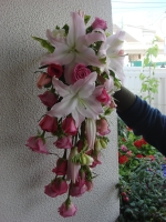 Click para ver em grande!