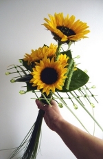 Click para ver em grande!