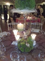 Click para ver em grande!