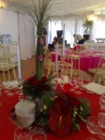 Click para ver em grande!