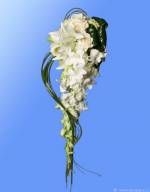 Click para ver em grande!