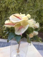 Click para ver em grande!