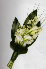 Click para ver em grande!