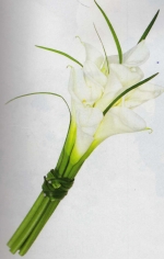 Click para ver em grande!