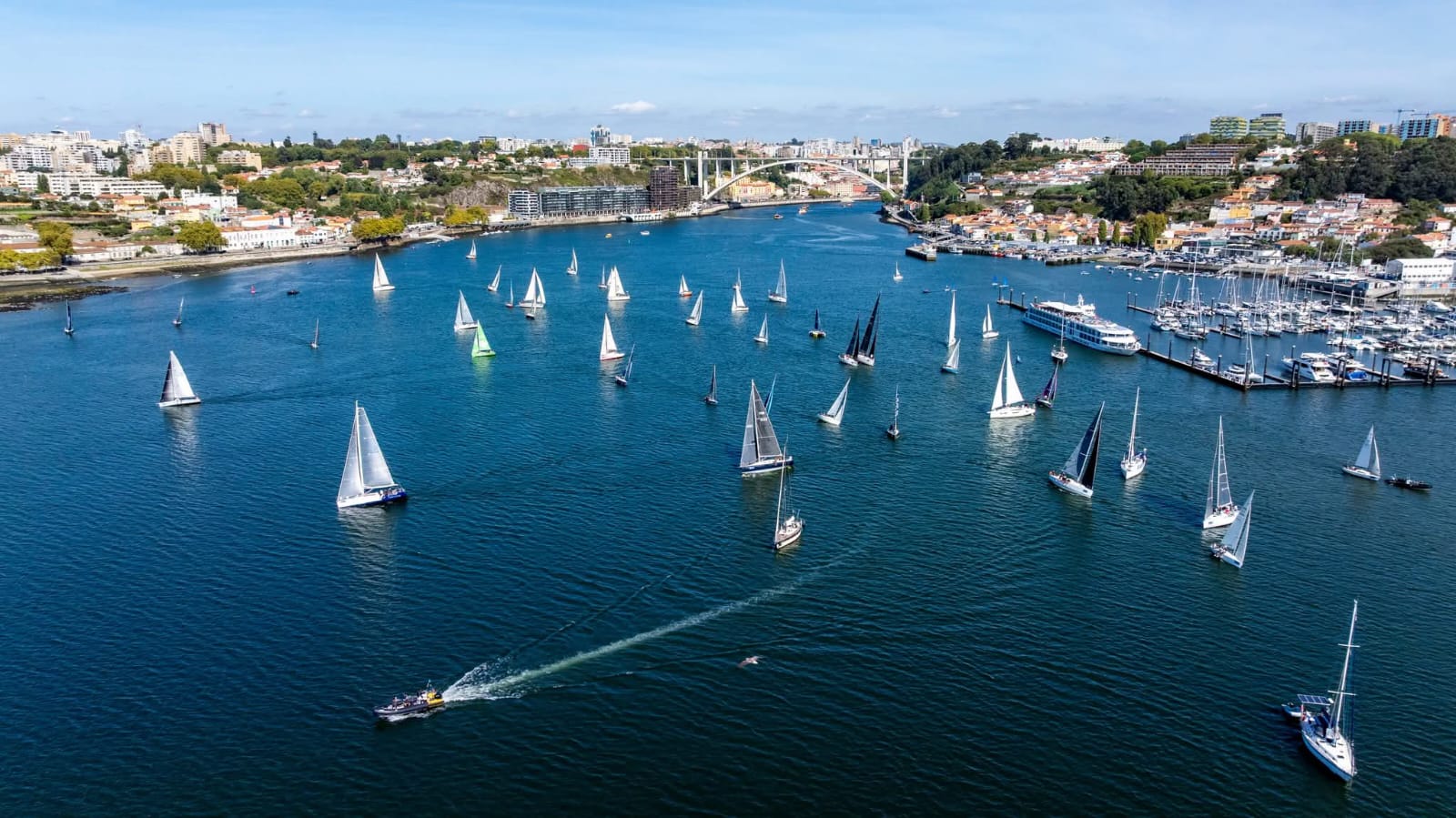 XV Regata di Infante 1.jpg
